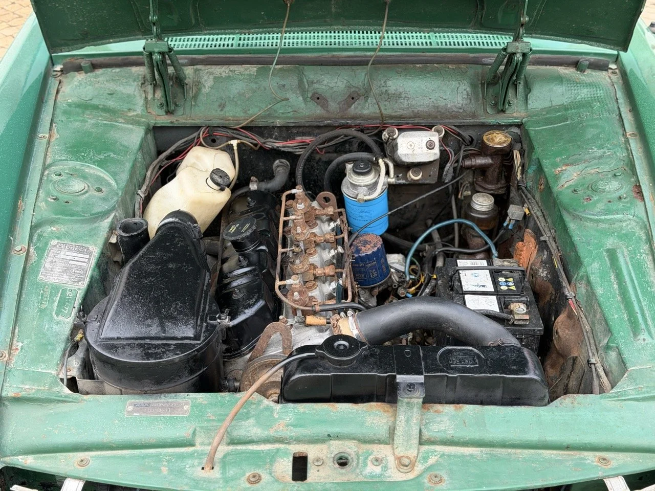 IMG_4541 – grande.jpeg