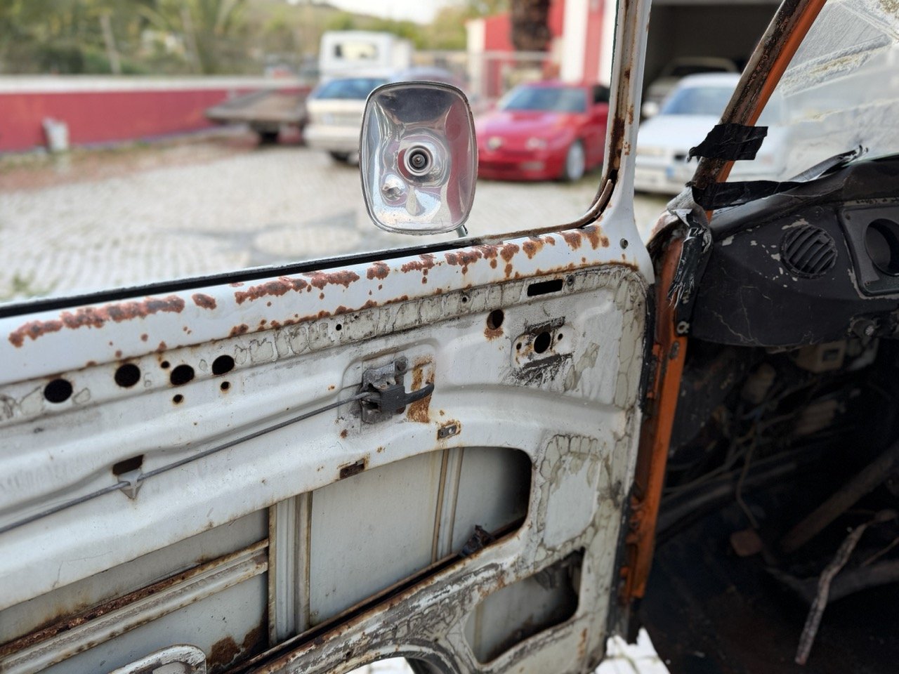 IMG_0823 – grande.jpeg