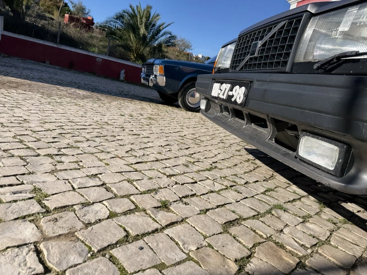 IMG_2003 – grande.jpeg