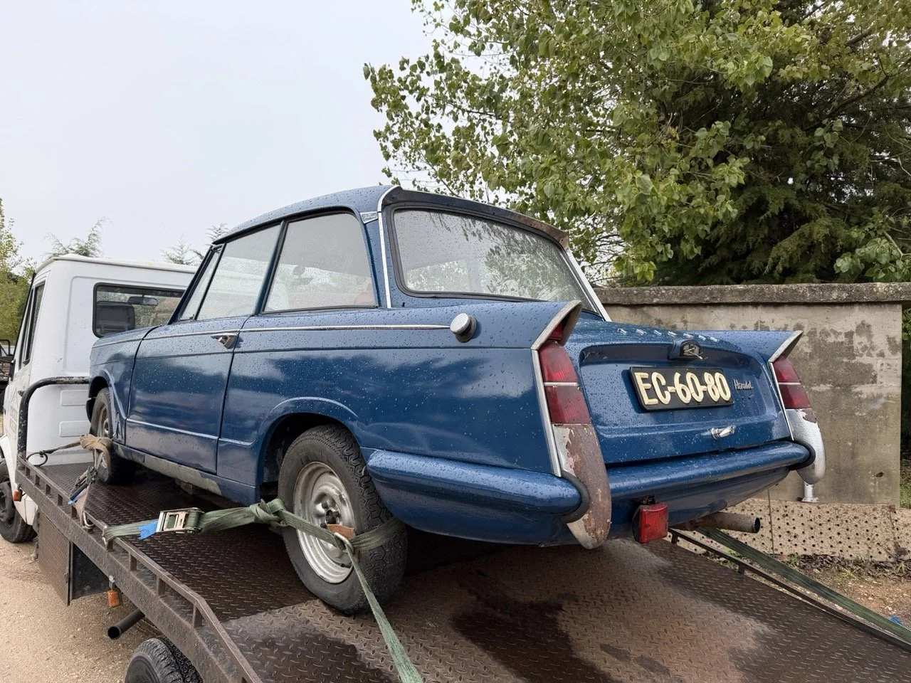 IMG_8659 – grande.jpeg