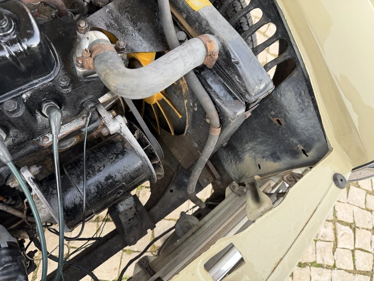 IMG_4071 – grande.jpeg