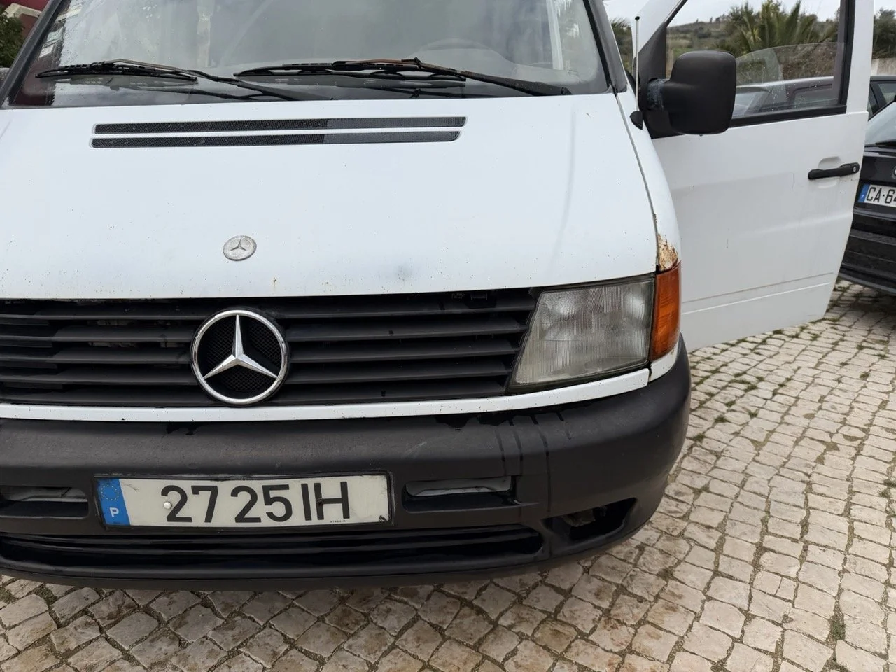 IMG_9540 – grande.jpeg