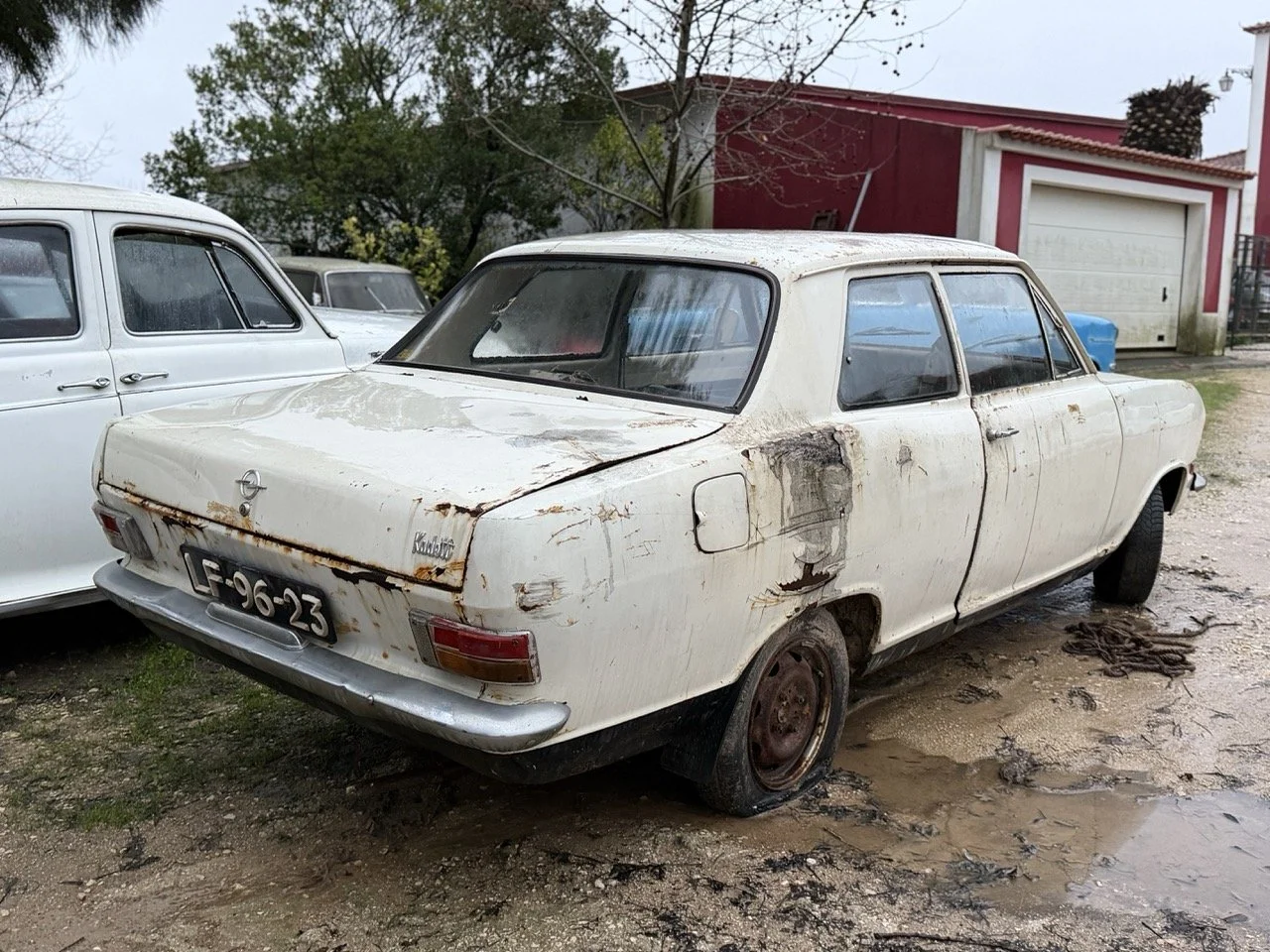 IMG_0112 – grande.jpeg