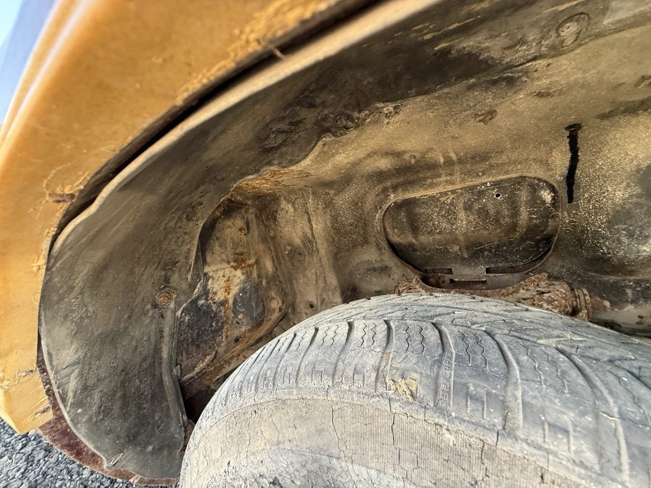 IMG_3062 – grande.jpeg