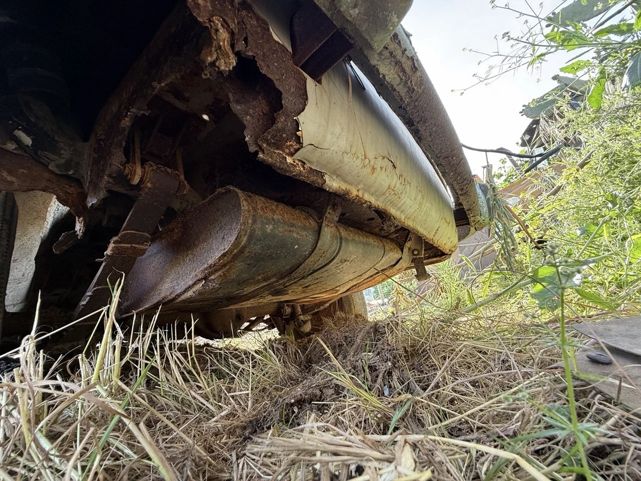 IMG_0511 – grande.jpeg