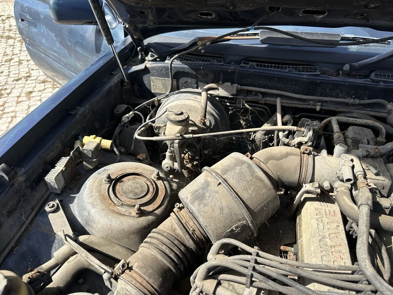 IMG_7207 – grande.jpeg