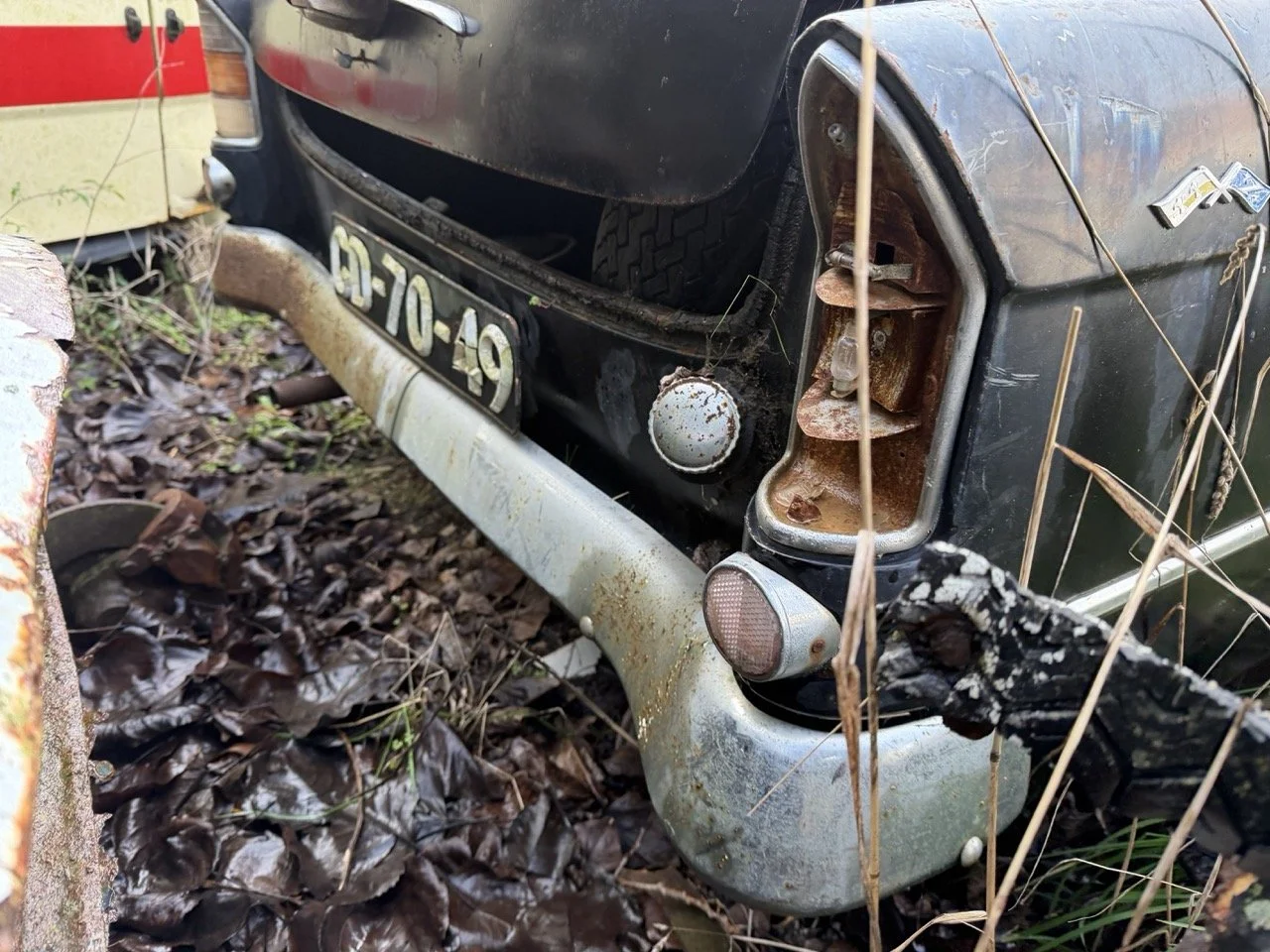 IMG_5048 – grande.jpeg