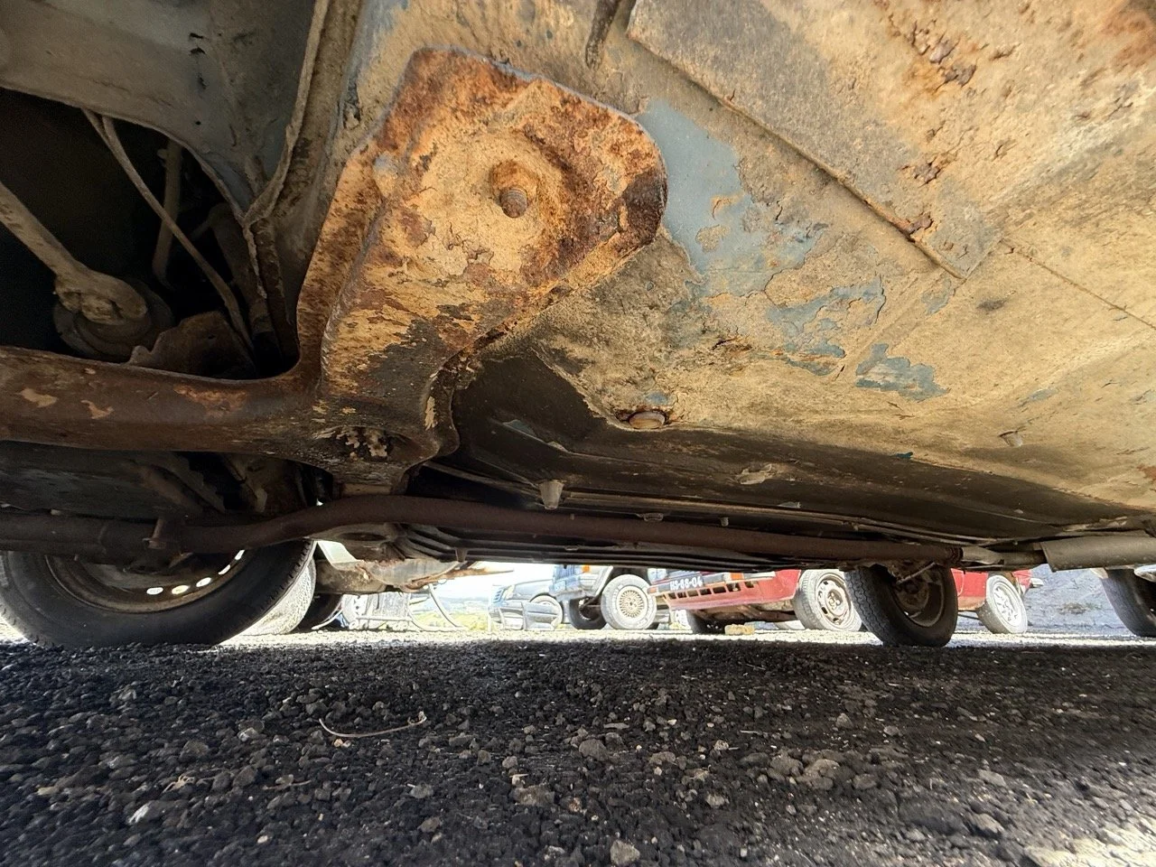 IMG_0803 – grande.jpeg