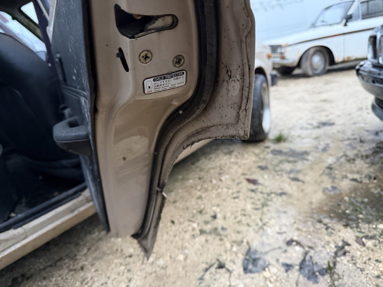 IMG_0226 – grande.jpeg