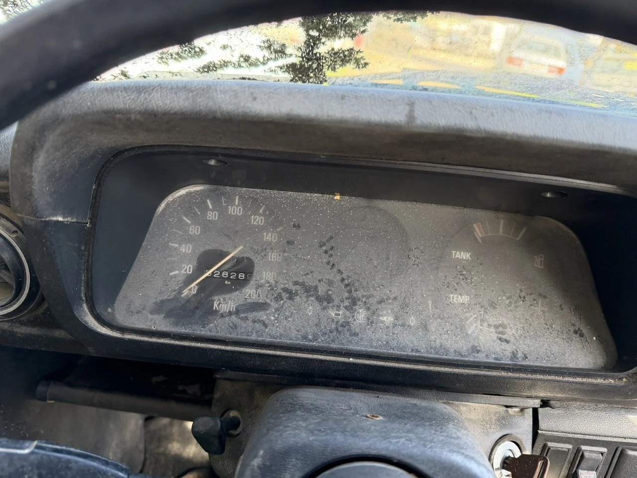 IMG_7709 – grande.jpeg