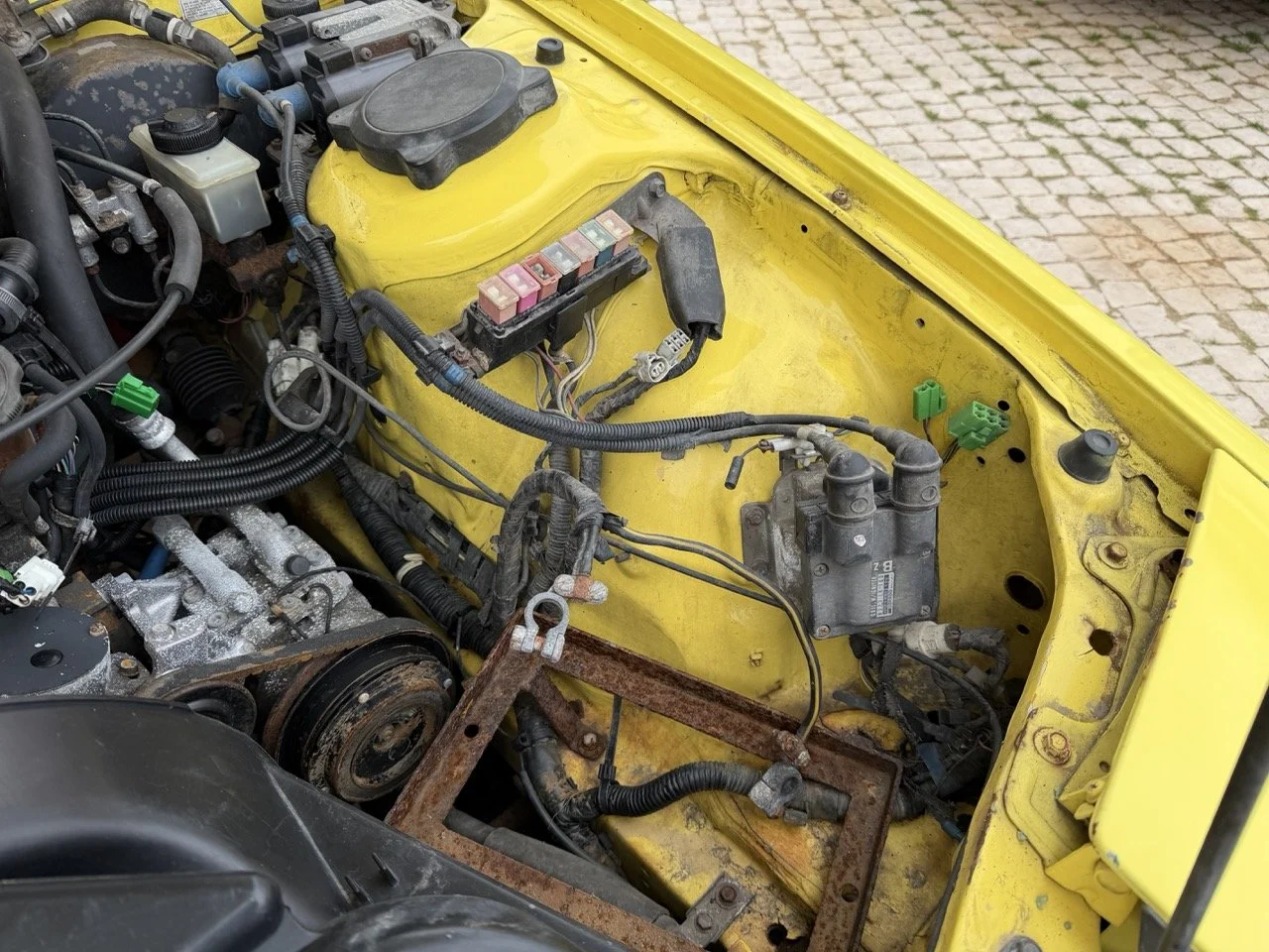 IMG_9749 – grande.jpeg