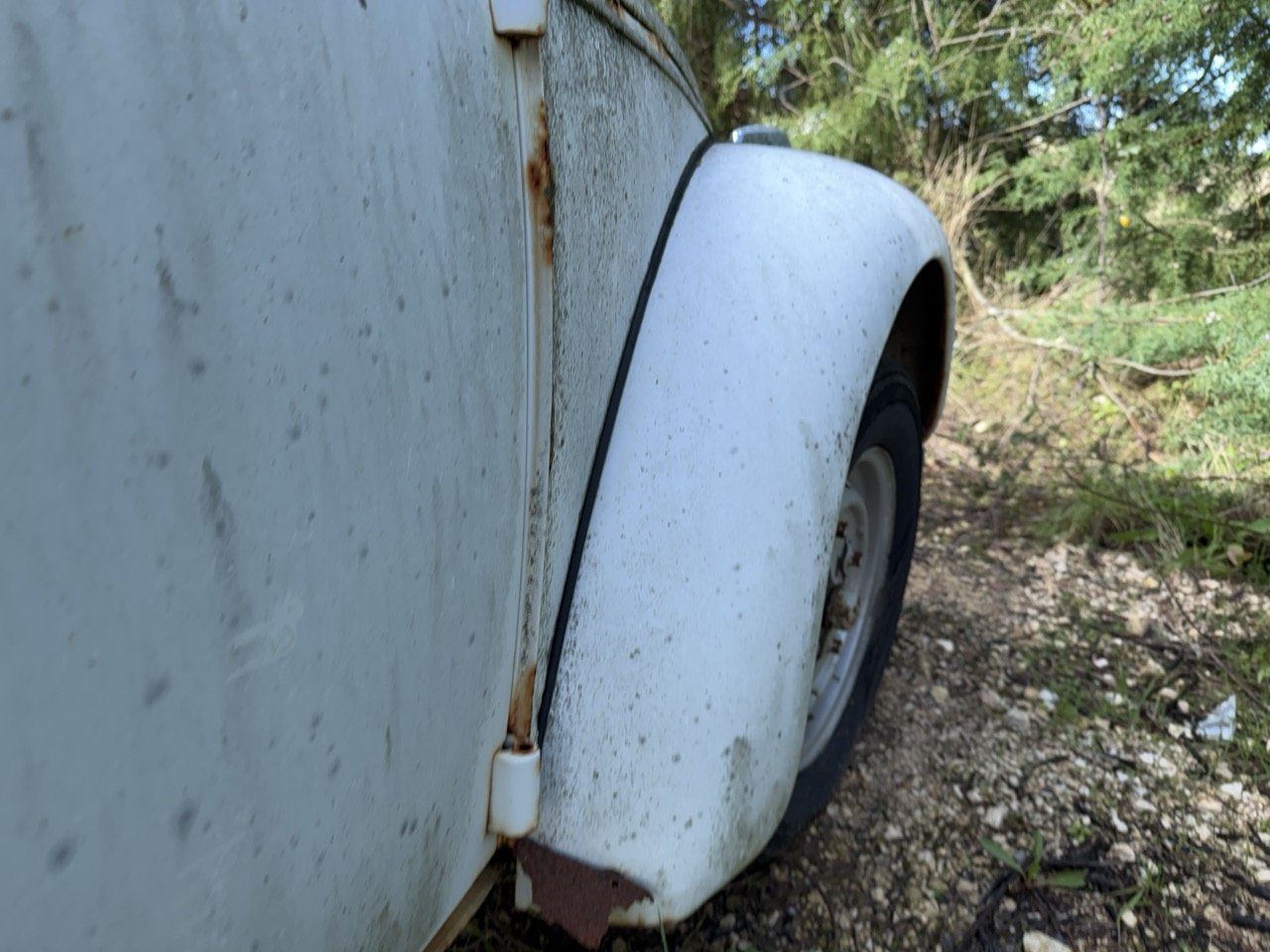 IMG_8584 – grande.jpeg