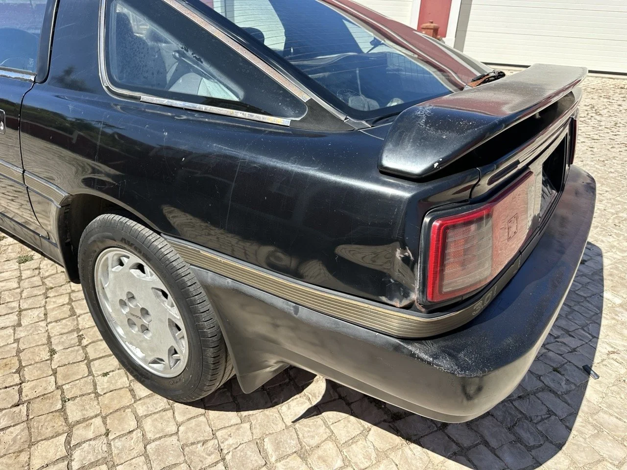 IMG_3162 – grande.jpeg