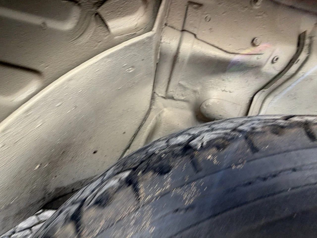 IMG_8586 2 – grande.jpeg