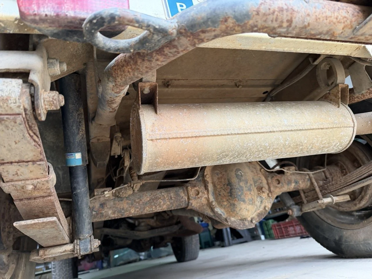 IMG_5239 – grande.jpeg