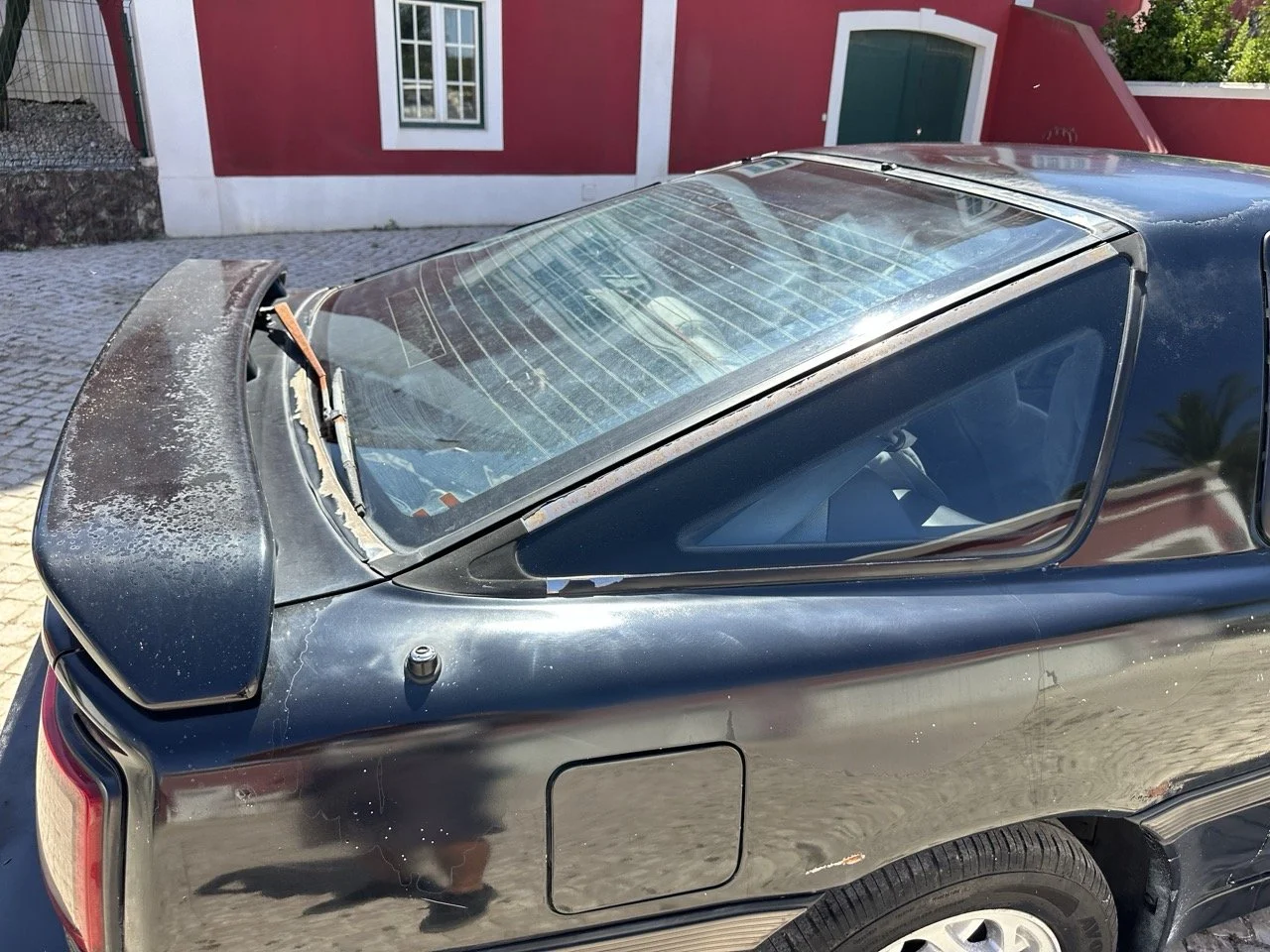 IMG_3157 – grande.jpeg