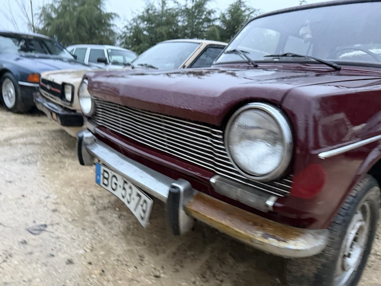 IMG_0294 – grande.jpeg