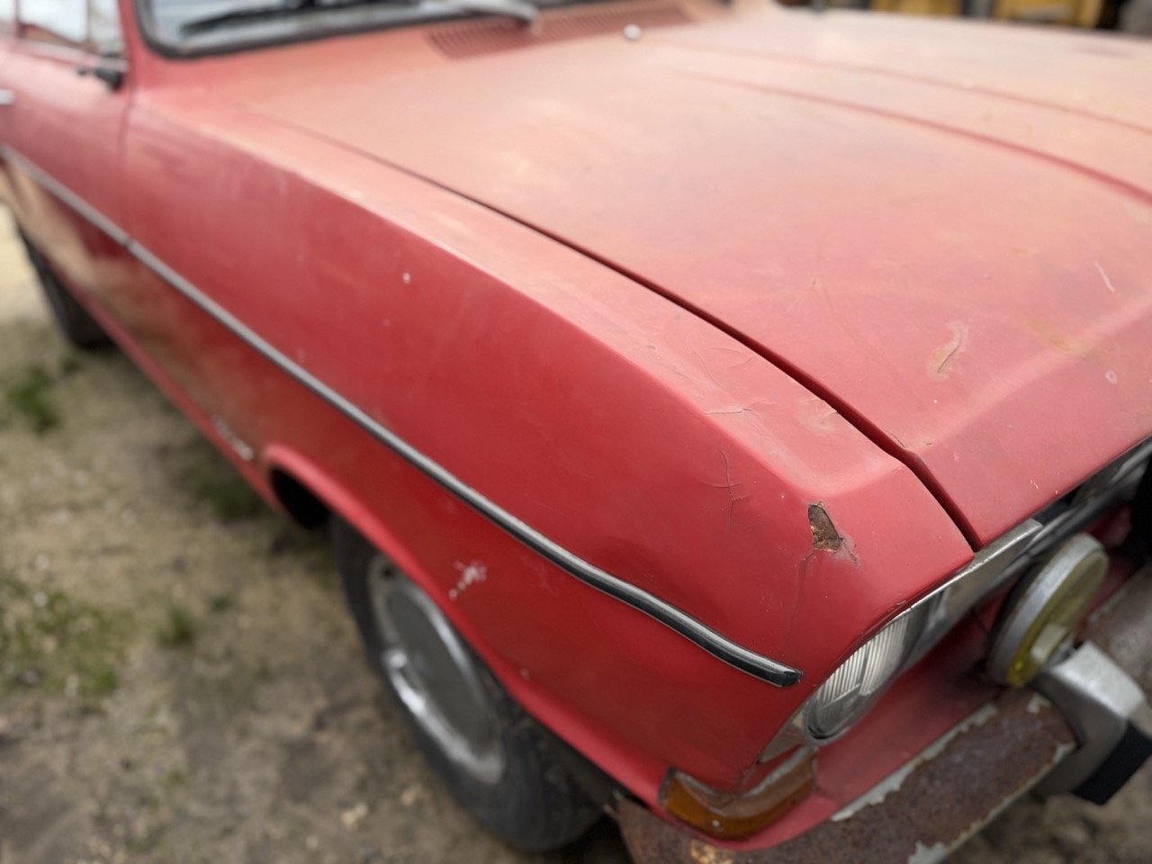 IMG_4972 – grande.jpeg