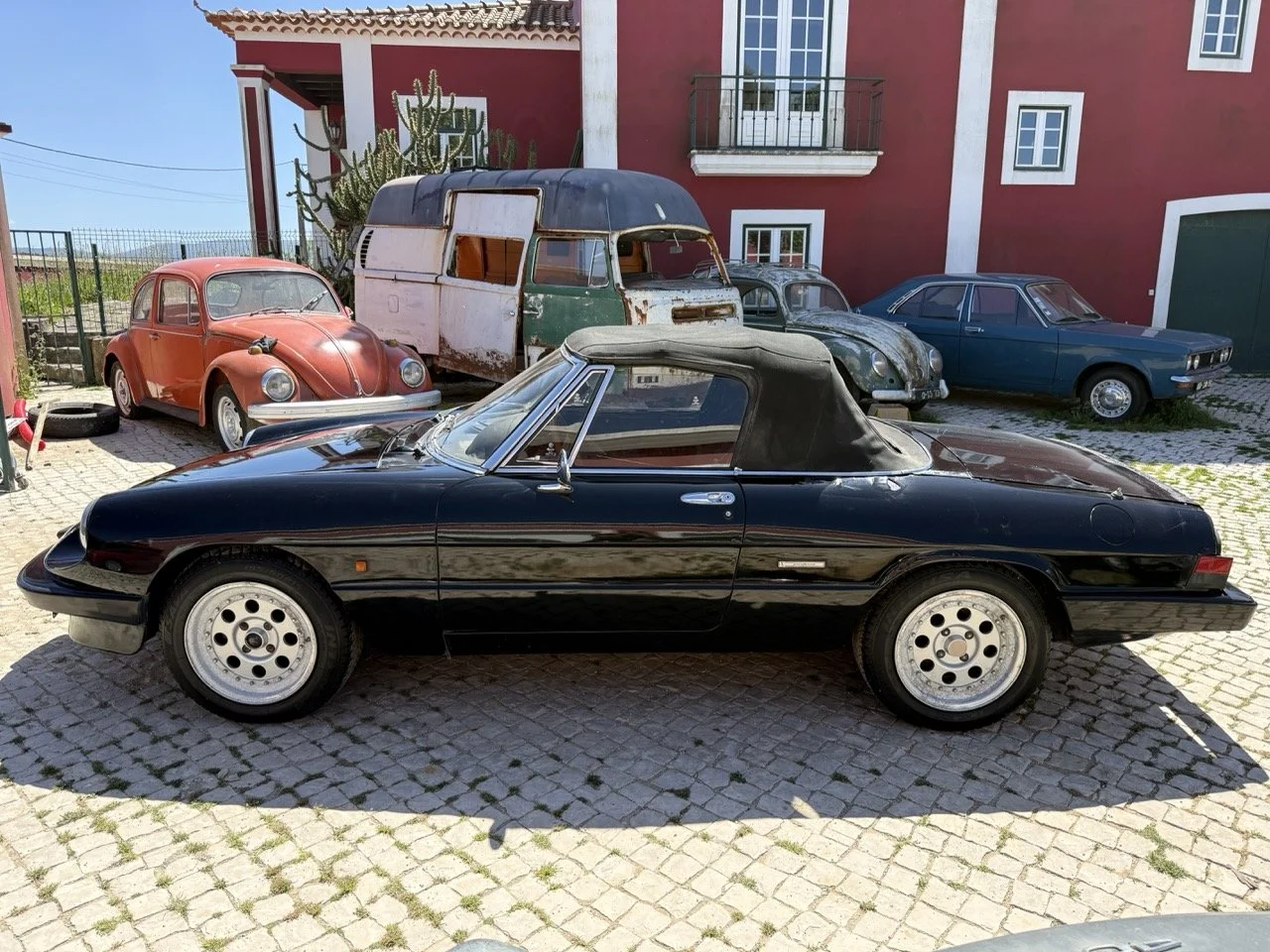 IMG_2133 – grande.jpeg