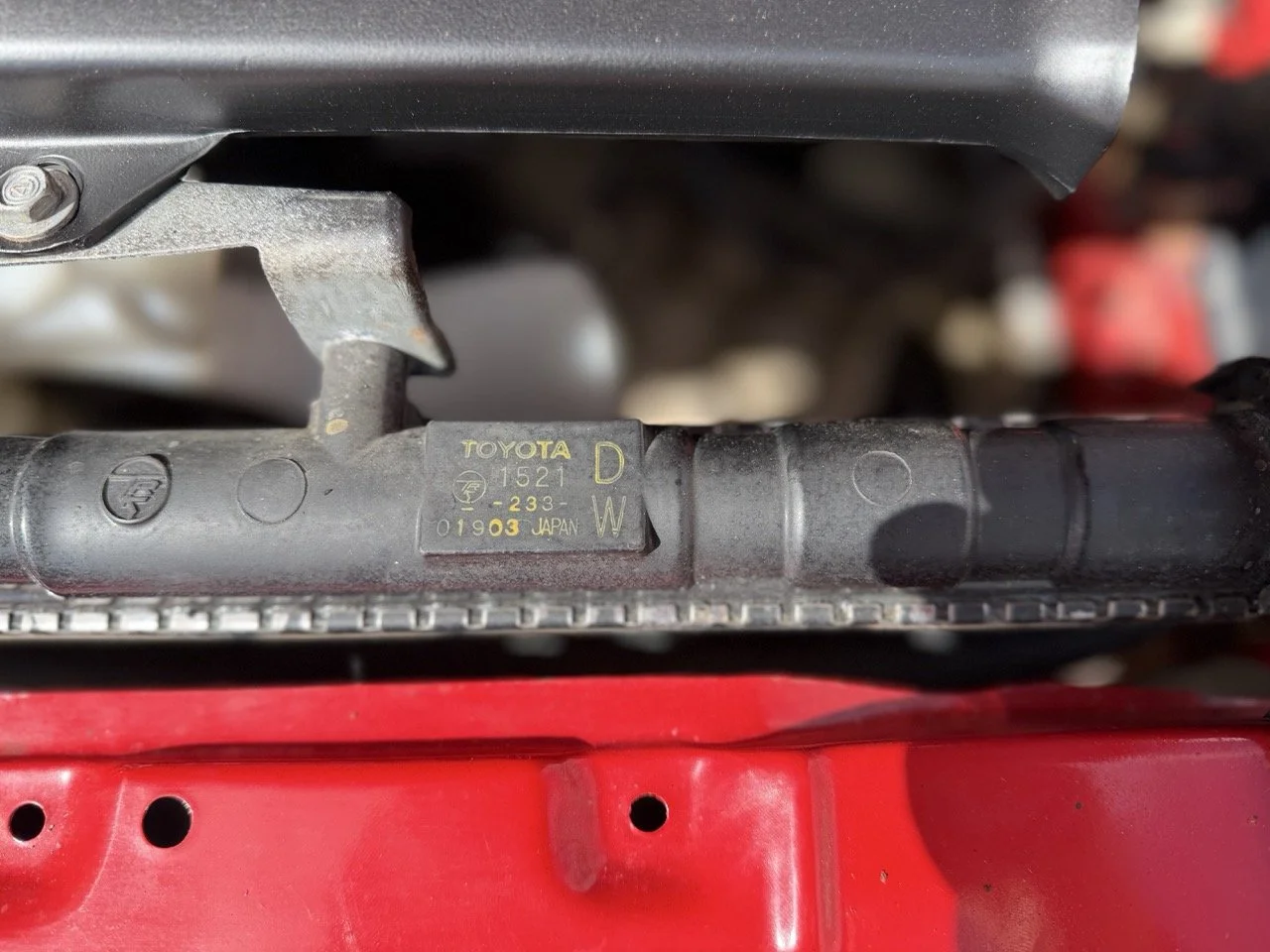 IMG_2363 – grande.jpeg