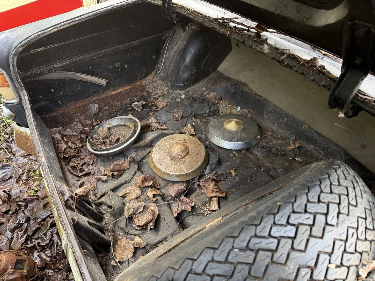 IMG_5051 – grande.jpeg