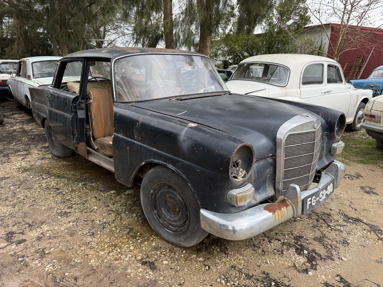 IMG_1921 – grande.jpeg