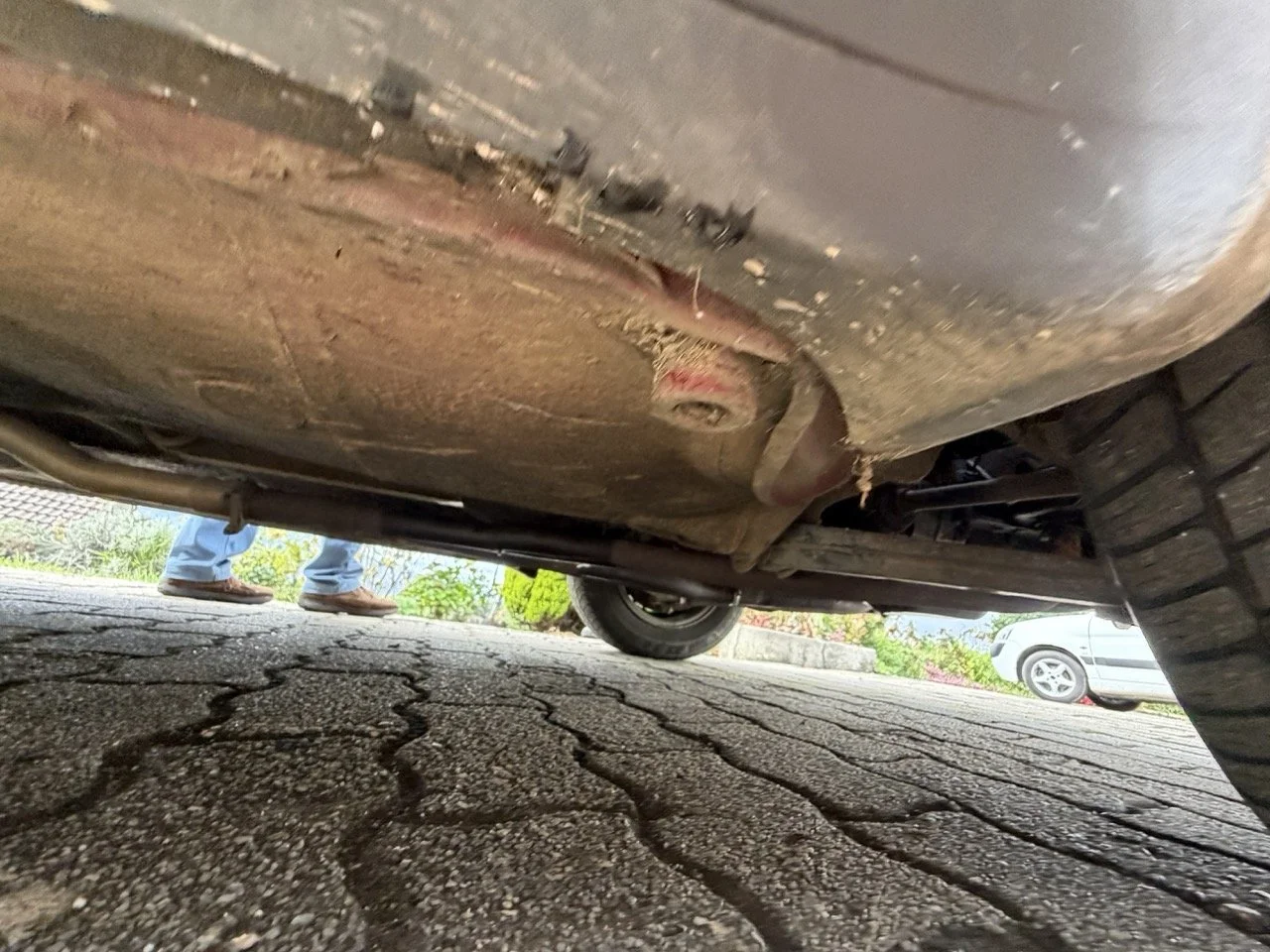 IMG_3261 – grande.jpeg