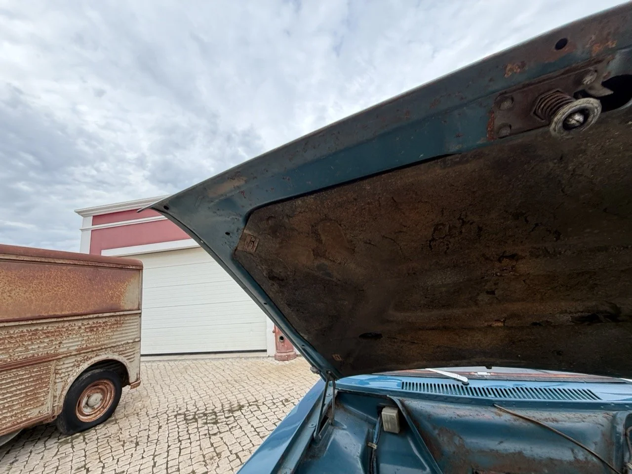 IMG_6306 – grande.jpeg