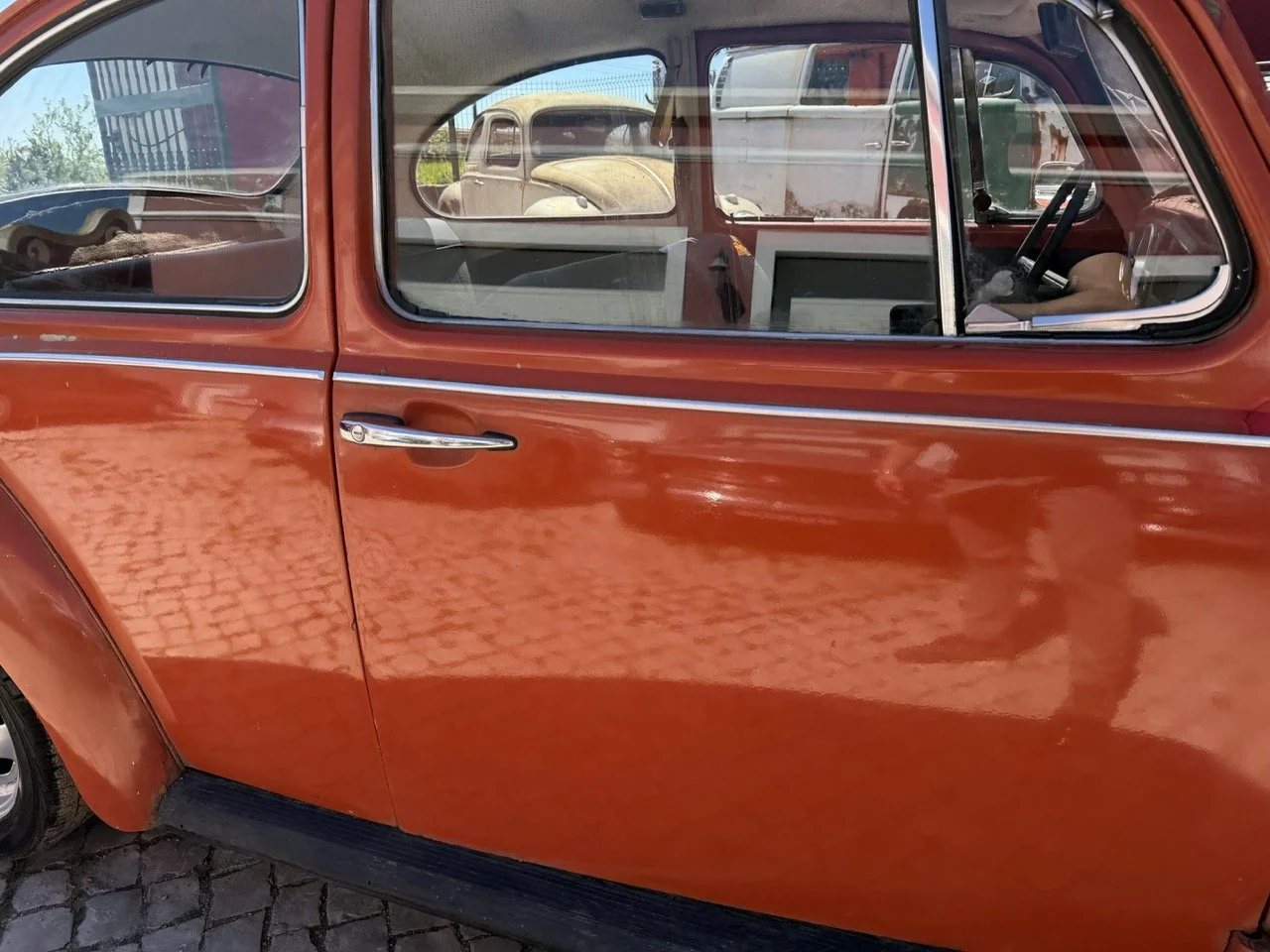 IMG_7591 – grande.jpeg