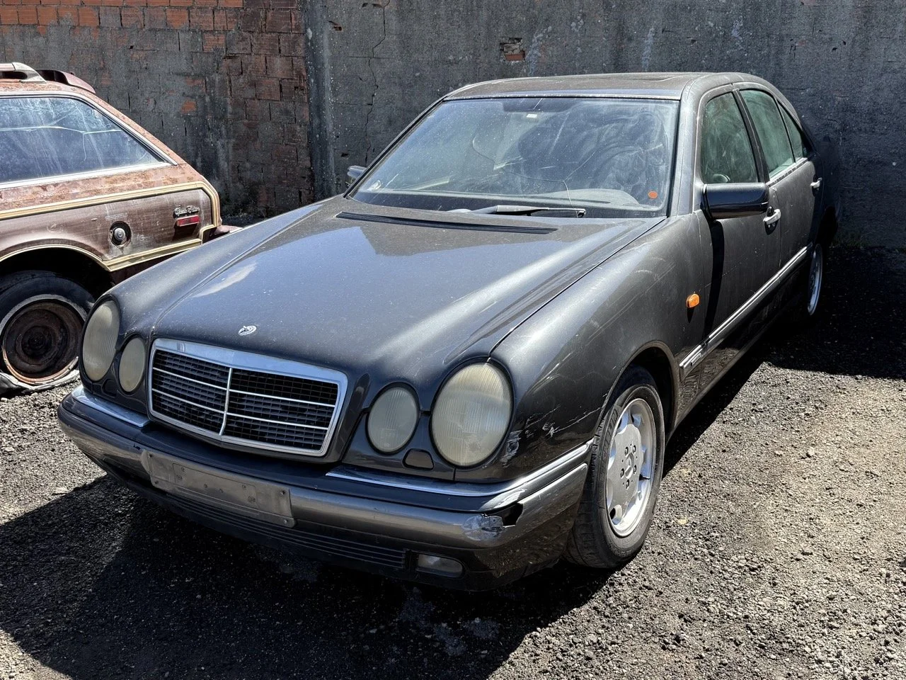 IMG_1727 – grande.jpeg