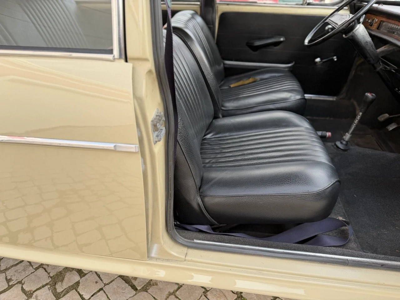 IMG_4044 – grande.jpeg