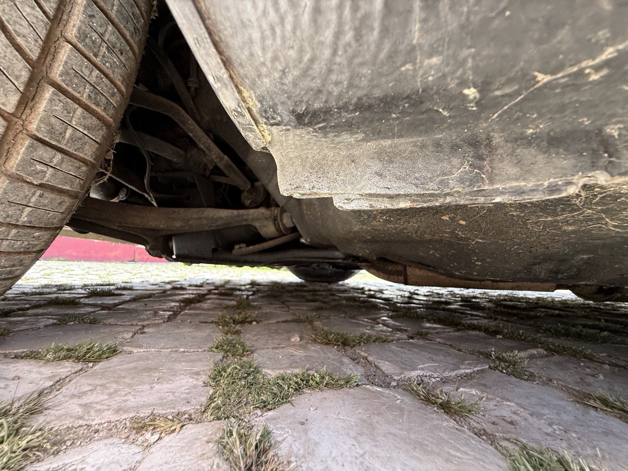 IMG_2618 – grande.jpeg