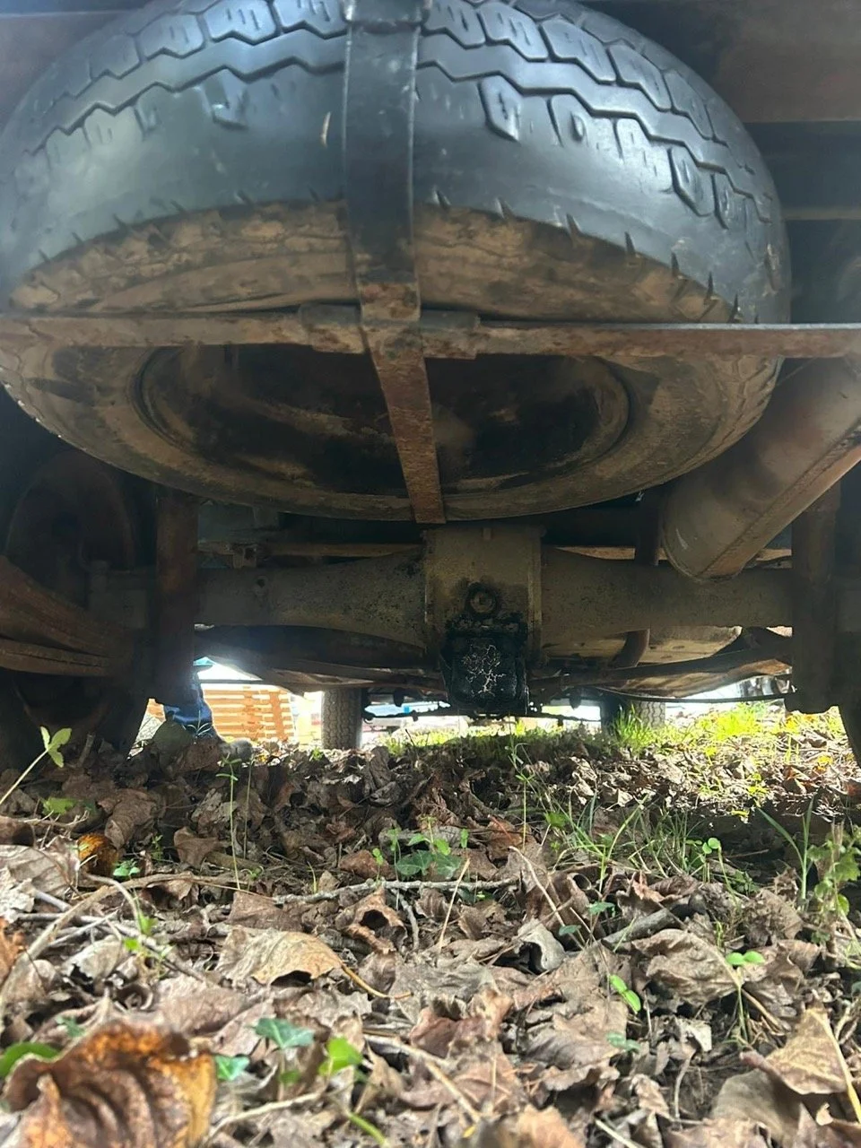 c9cd2333-746f-40f8-90ab-ed026f08cdd5 – grande.jpeg