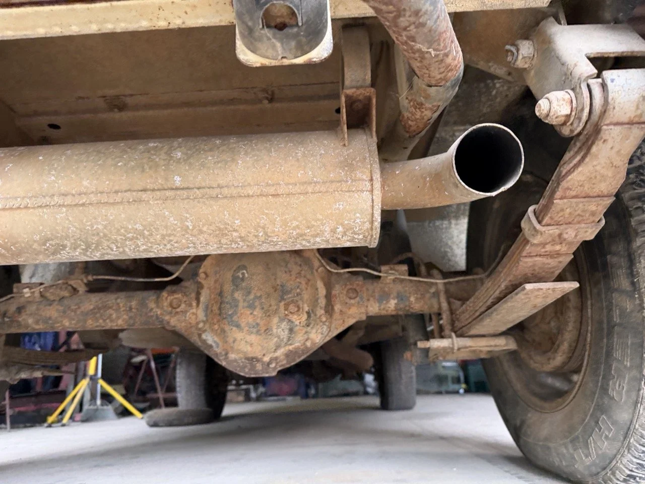 IMG_5240 – grande.jpeg