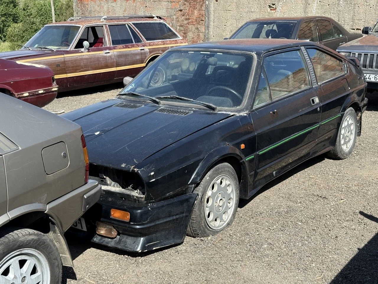 IMG_2889 – grande.jpeg