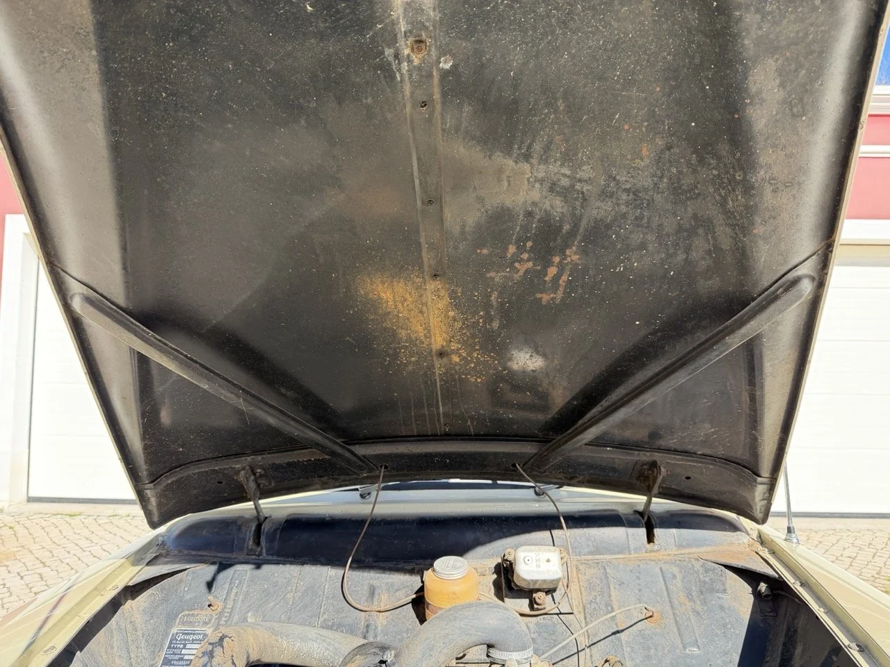 IMG_6670 – grande.jpeg