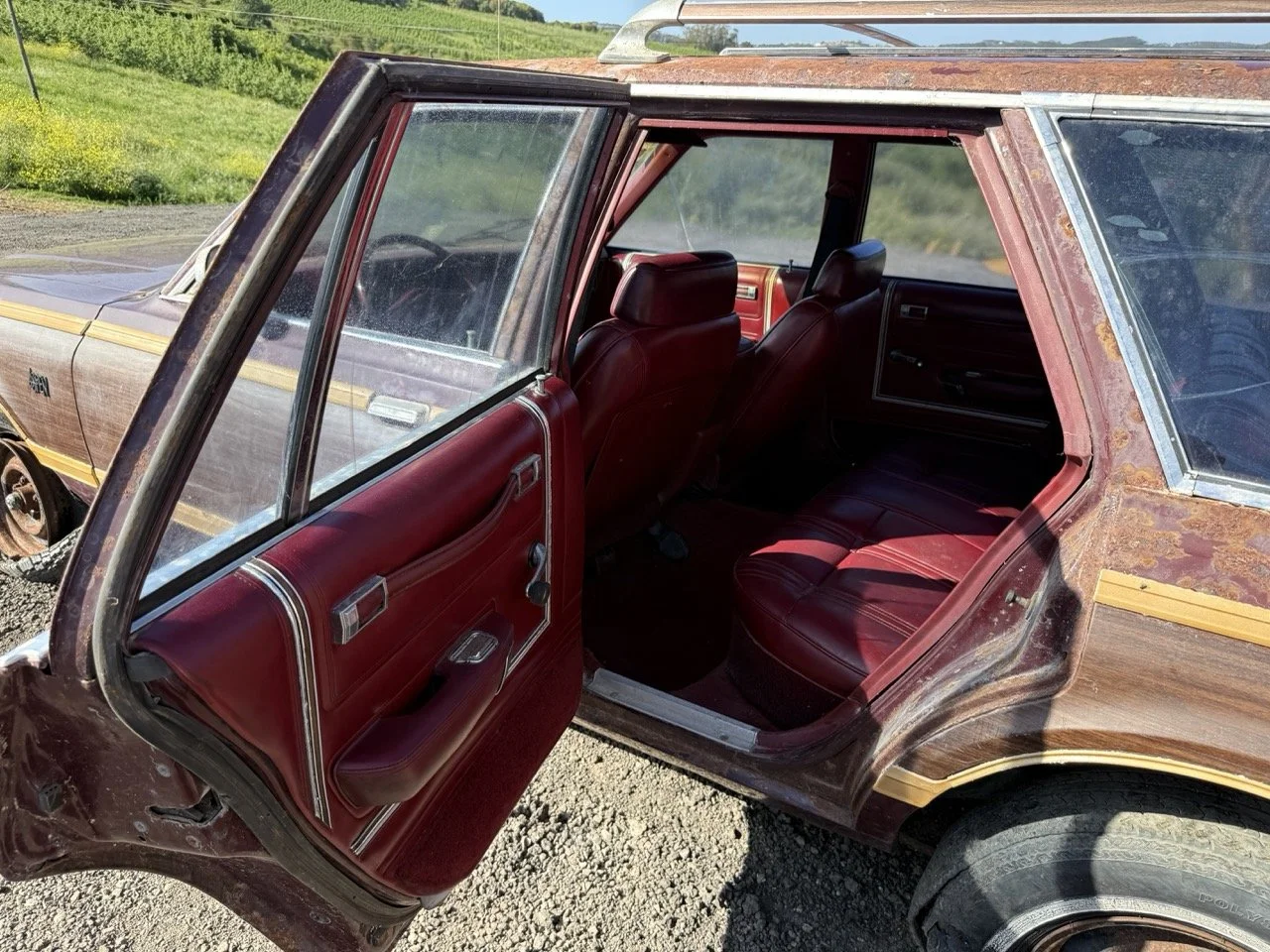 IMG_3021 – grande.jpeg