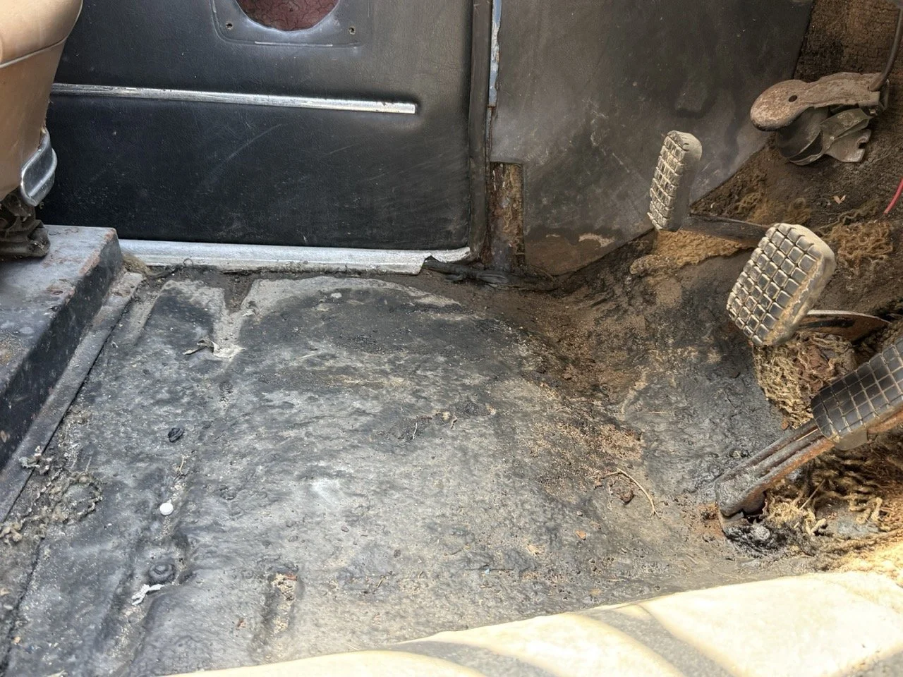 IMG_3538 – grande.jpeg