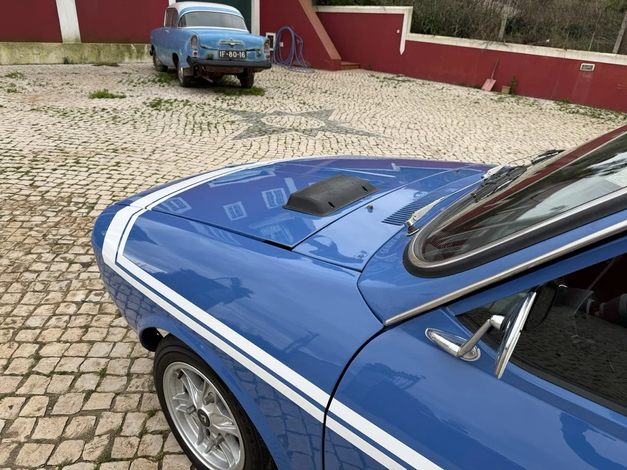 IMG_6102 – grande.jpeg