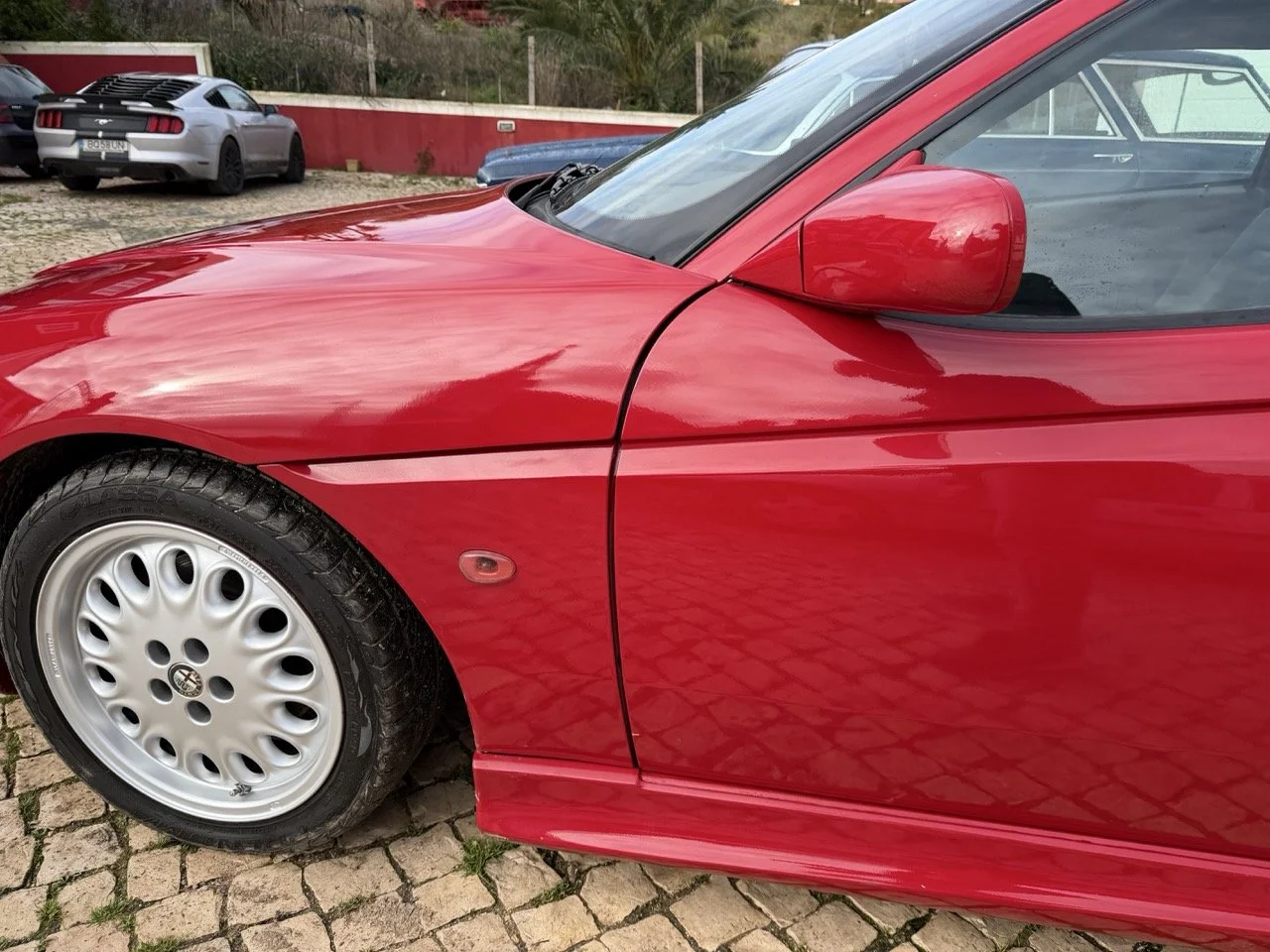 IMG_2300 – grande.jpeg