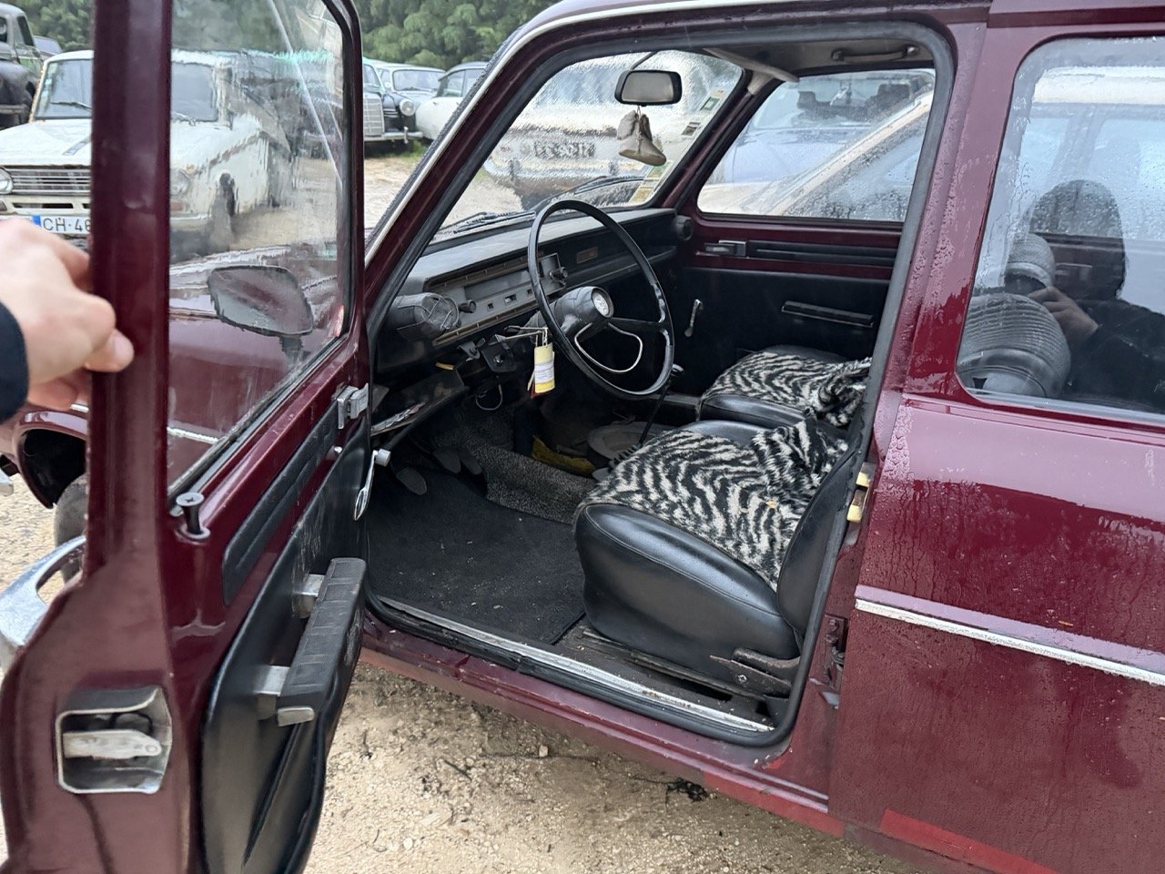 IMG_0271 – grande.jpeg