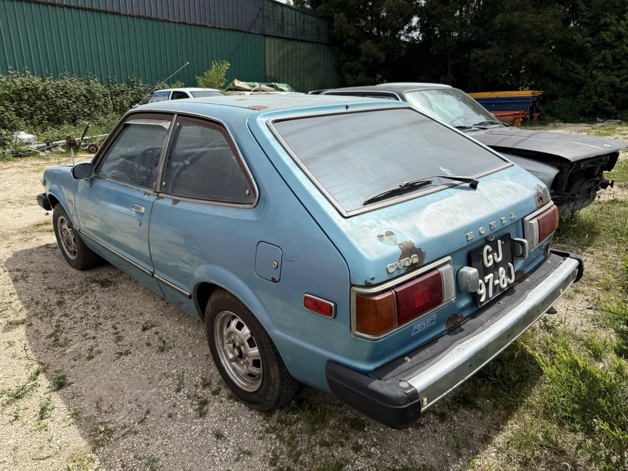 IMG_1501 – grande.jpeg