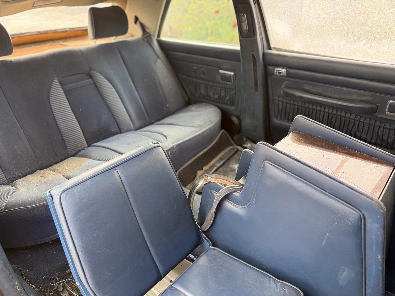 IMG_3374 – grande.jpeg