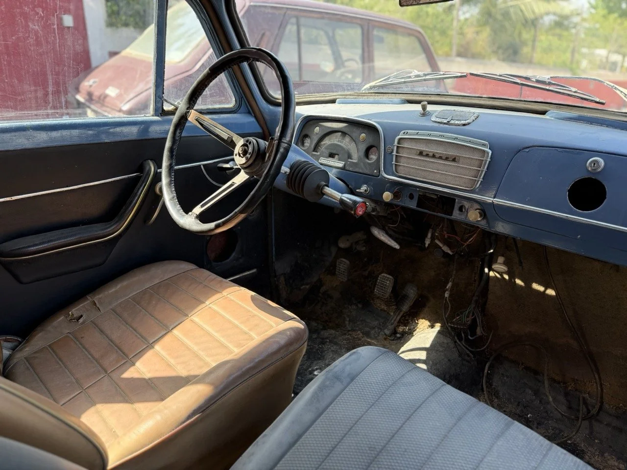 IMG_3511 – grande.jpeg