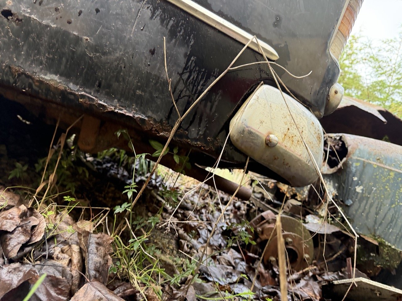 IMG_5073 – grande.jpeg