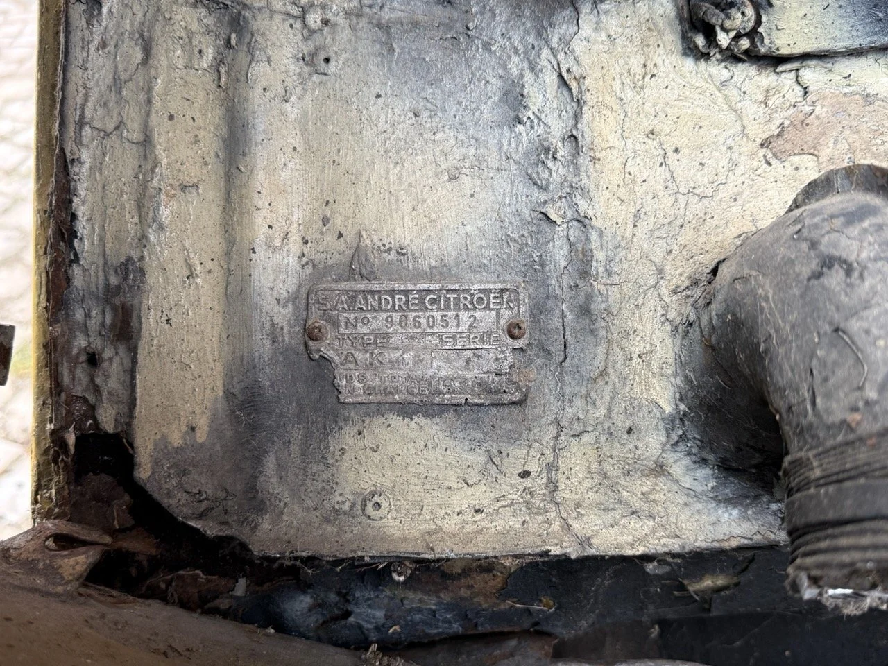 IMG_3806 – grande.jpeg