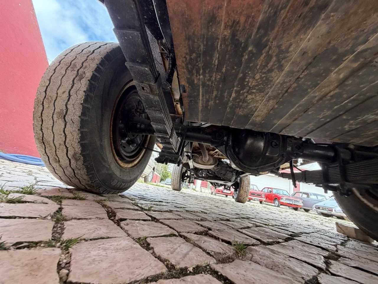 IMG_3928 – grande.jpeg