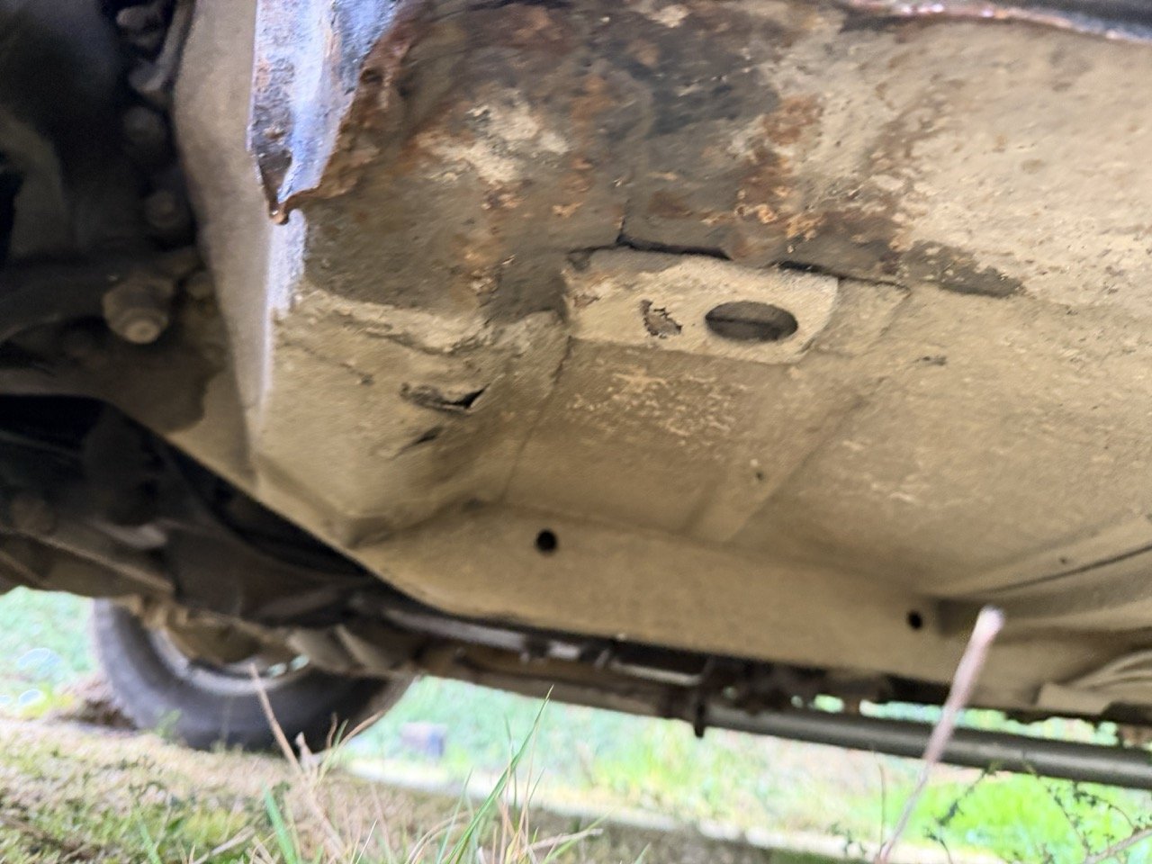 IMG_5255 – grande.jpeg