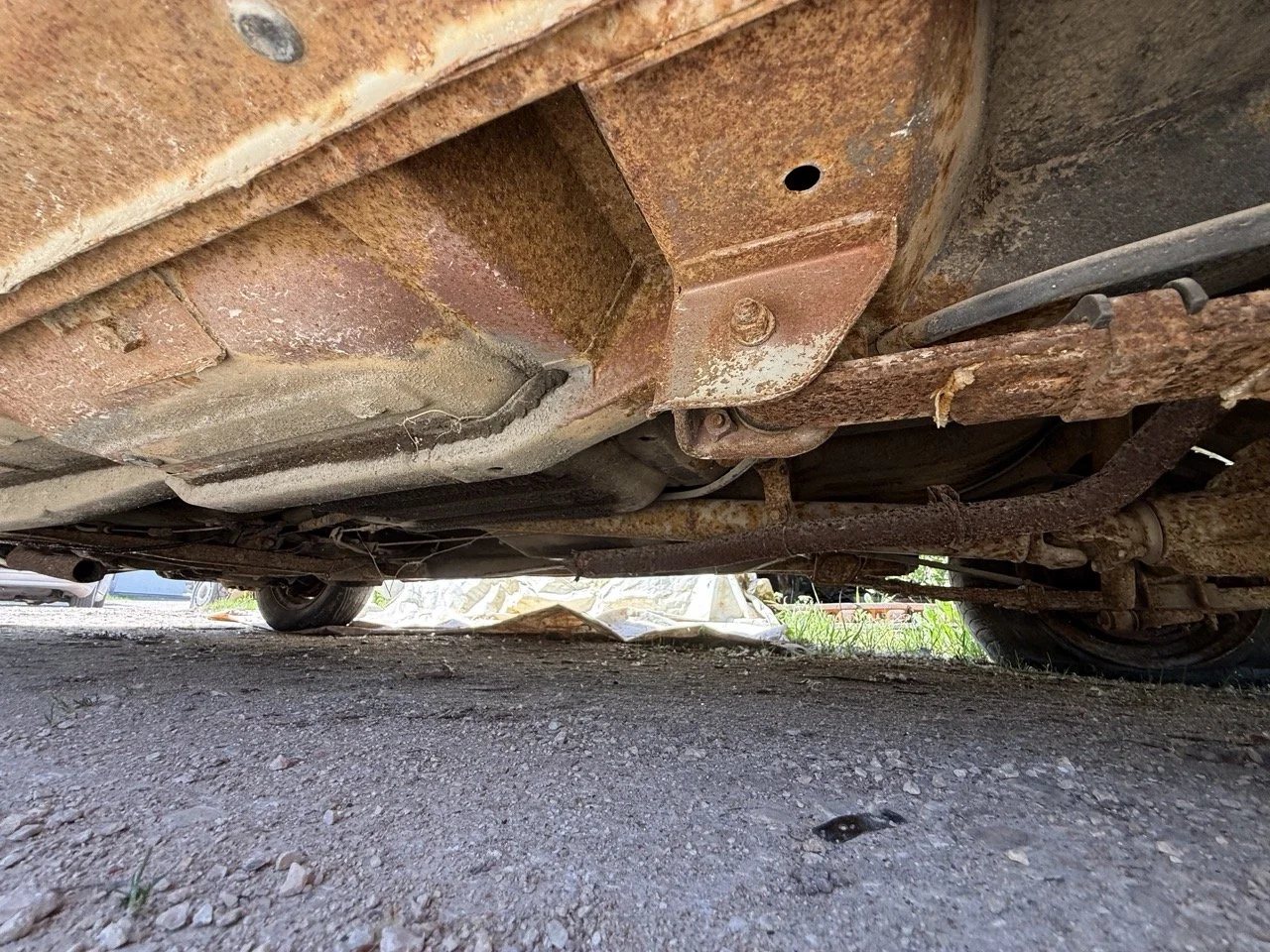 IMG_3237 – grande.jpeg