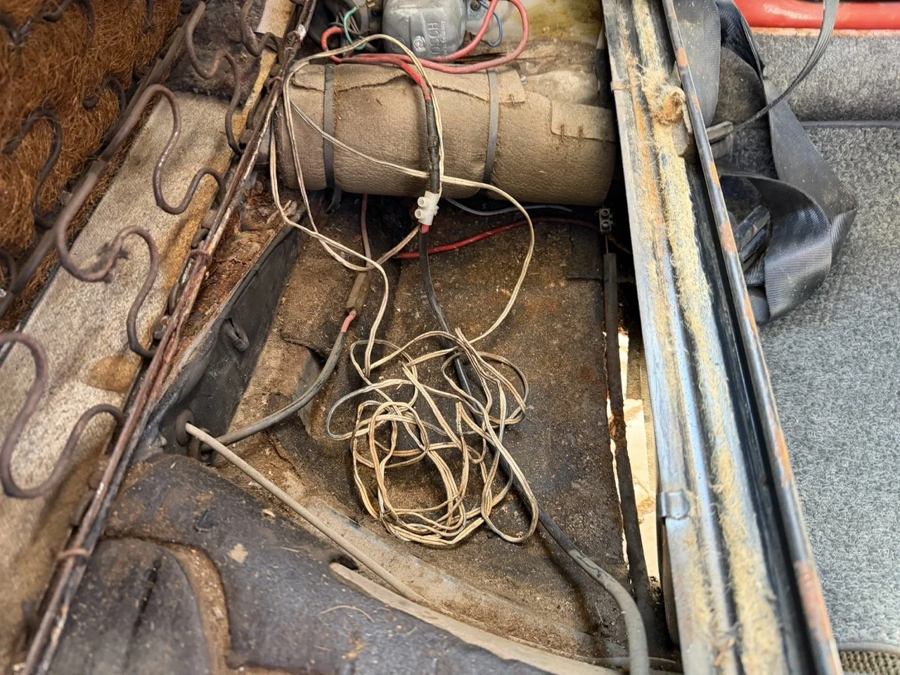 IMG_7539 – grande.jpeg